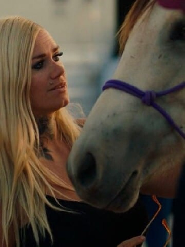 Affiche The New West