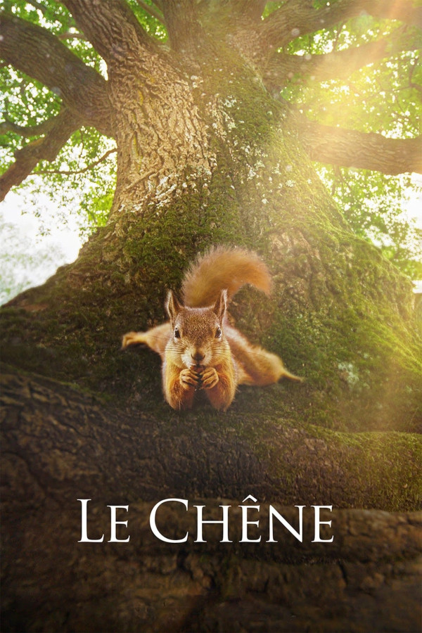 Affiche Le Chêne