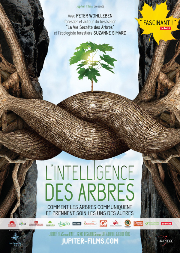 Affiche L’Intelligence des arbres