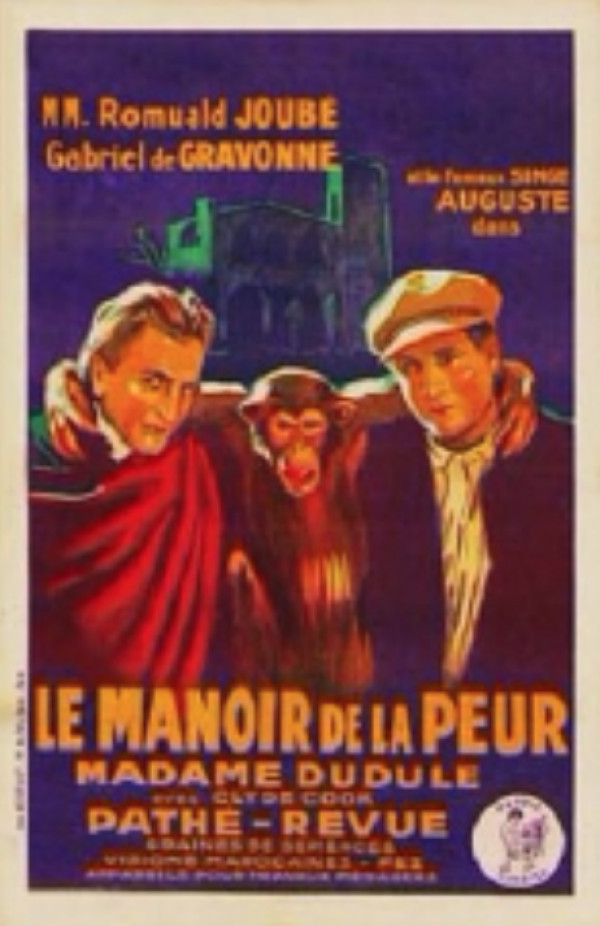 Affiche Le Manoir de la peur